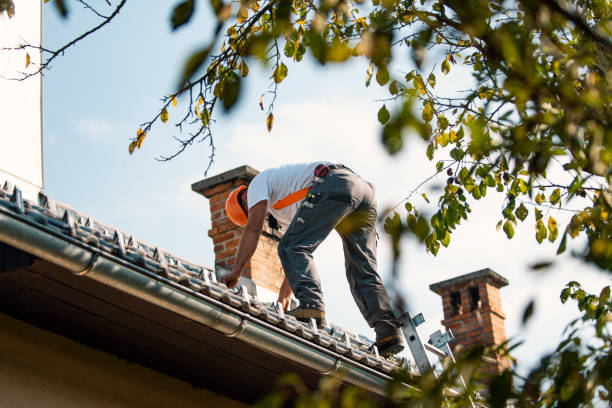 Best Roof Gutter Cleaning  in Bayou Blue, LA